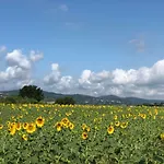 Casa Il Gallo アパート カステッリーナ・マリッティマ