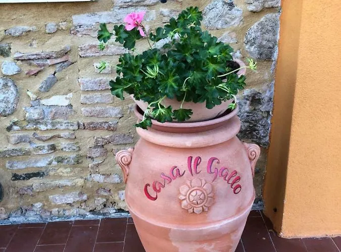 Apartment Casa Il Gallo Castellina Marittima