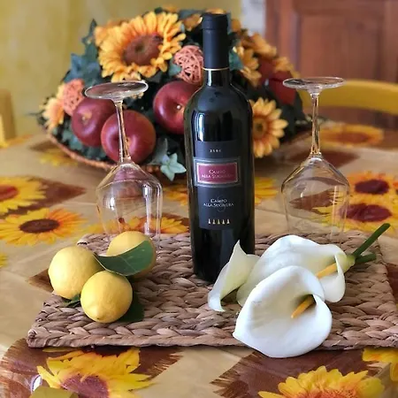Casa Il Gallo Apartamento