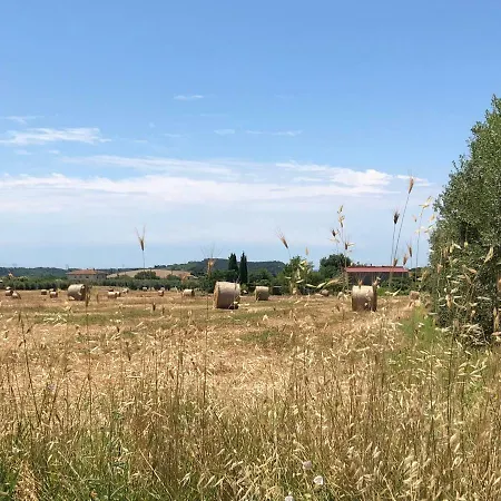 Casa Il Gallo Apartamento *
