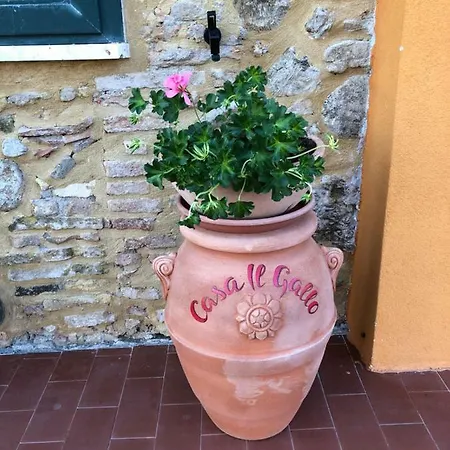 Apartamento Casa Il Gallo Castellina Marittima